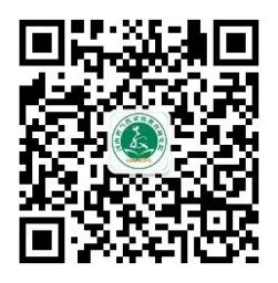 4906919593114047